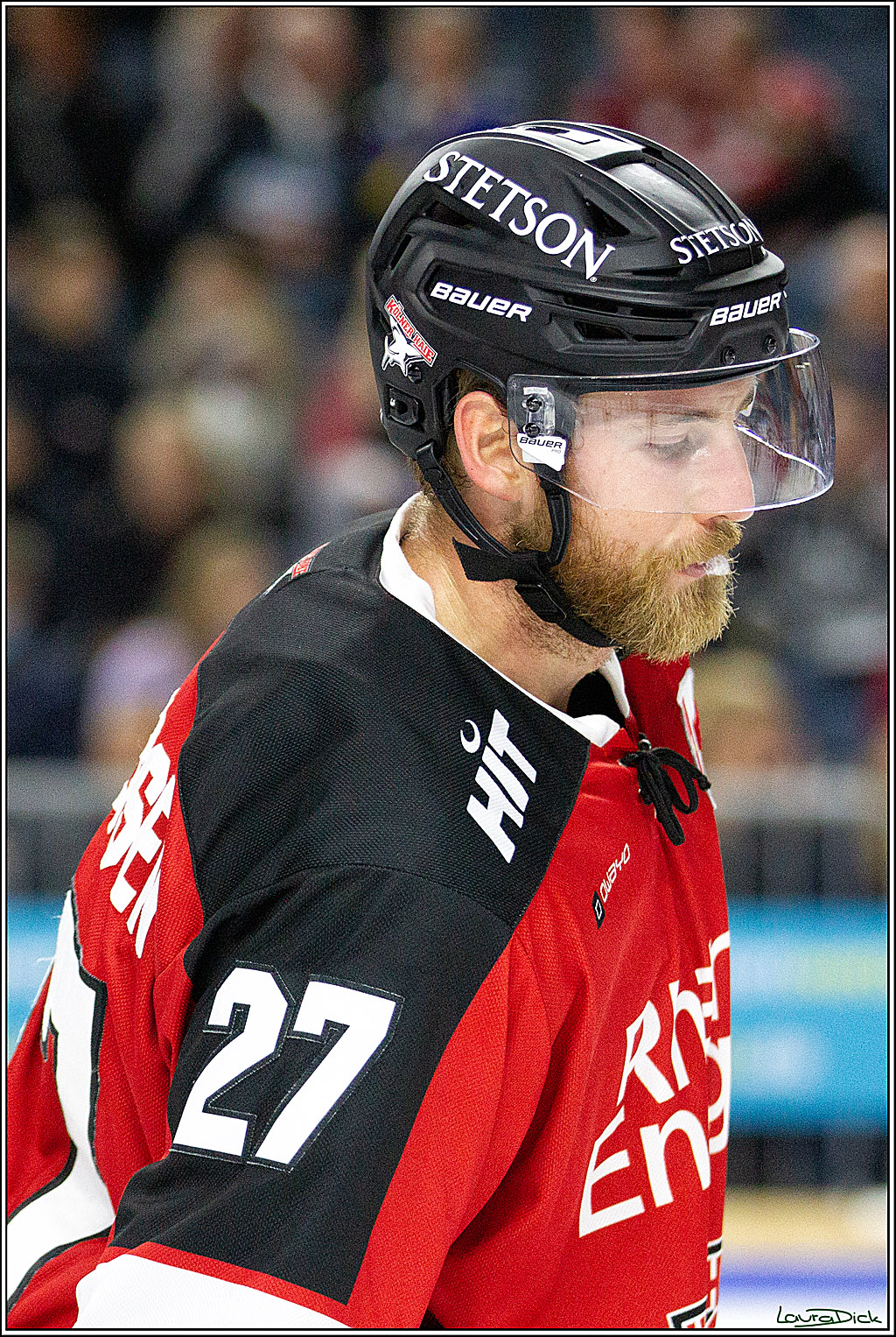 PENNY DEL;  Koelner Haie - Straubing Tigers; Koeln, 15.10.2021